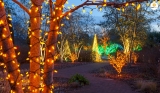 Outdoor Tree Lighting Ideas To Brighten Up Your Landscape