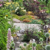 Revisiting Marina’s Garden – FineGardening