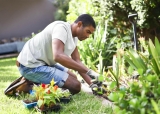 10 Easy Steps to Create Gardens in Your Yard for the First Time